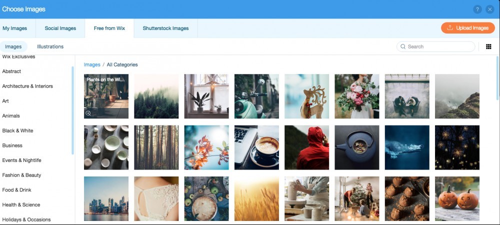 Wix free images Wix free images
